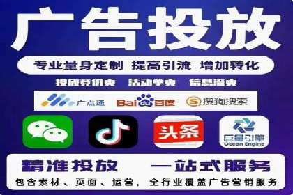 百度竞价排名机制：成功案例与策略探讨